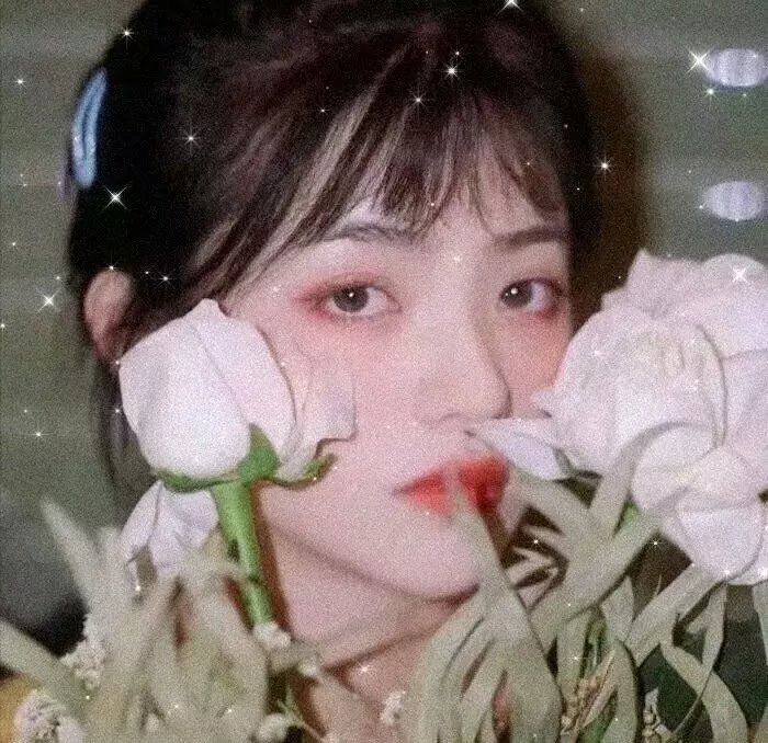 冈格尔的复仇